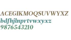 Glosa W01 Black Italic