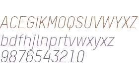 TSTAR PRO W00 Light Italic