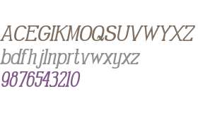 Gabriel Serif Condensed Italic