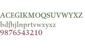 Gilgamesh W01 Medium
