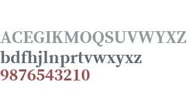 Source Serif Pro Bold V2