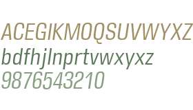 DDT W00 Condensed Book Italic