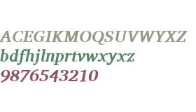 Charis SIL Bold Italic V2