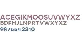 Novecento Sans W01 Wd DmBd