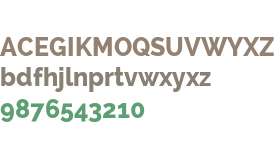 Raleway ExtraBold