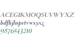 SeluneFonce W00 Italic