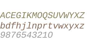 Liberation Mono Italic V1