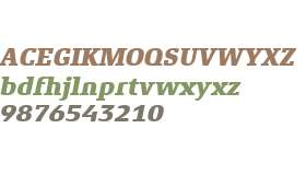 Xenois Slab W01 Heavy Italic
