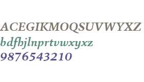 Sina W01 Bold Italic