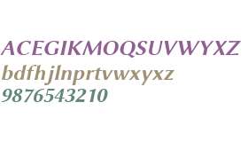 Linux Biolinum Slanted Bold