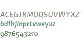 Elsa W01 Medium Italic