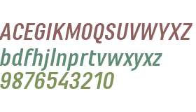 Marianina Wd FY W01 Bold Italic