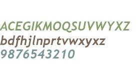 Trebuchet MS Bold Italic V1