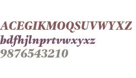 ITC Gamma W01 Black Italic