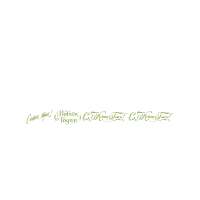 Congratulatory NewYear and Christmas 1.0 Special