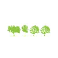 trees TFB