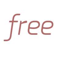 PF Isotext W01 Light Italic