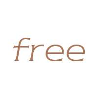 ITC Newtext W01 Light Italic