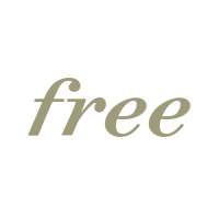 Surveyor Text Medium Italic